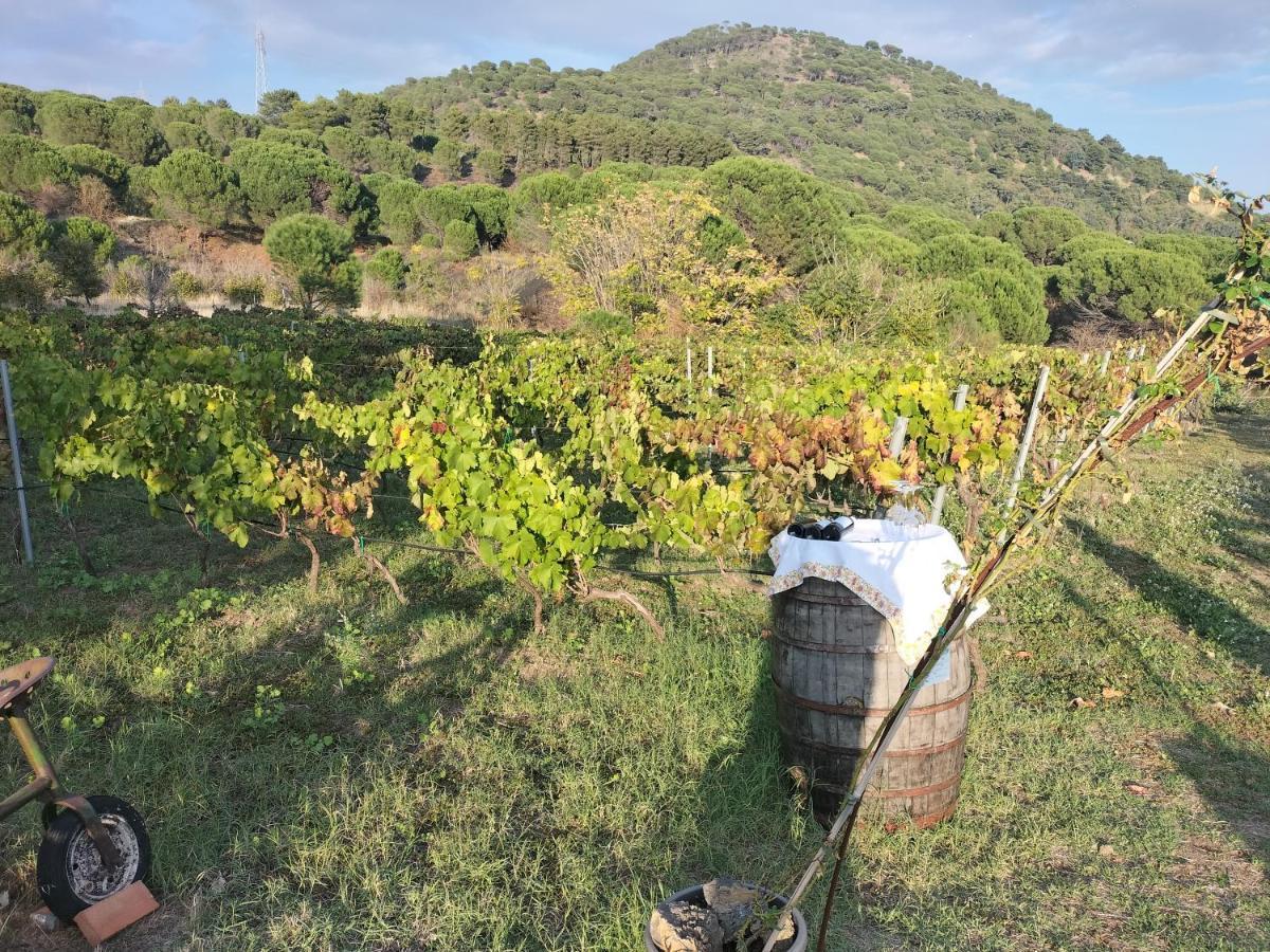 Etnasentieri Wine House On Etna Mount Βίλα Belpasso Εξωτερικό φωτογραφία