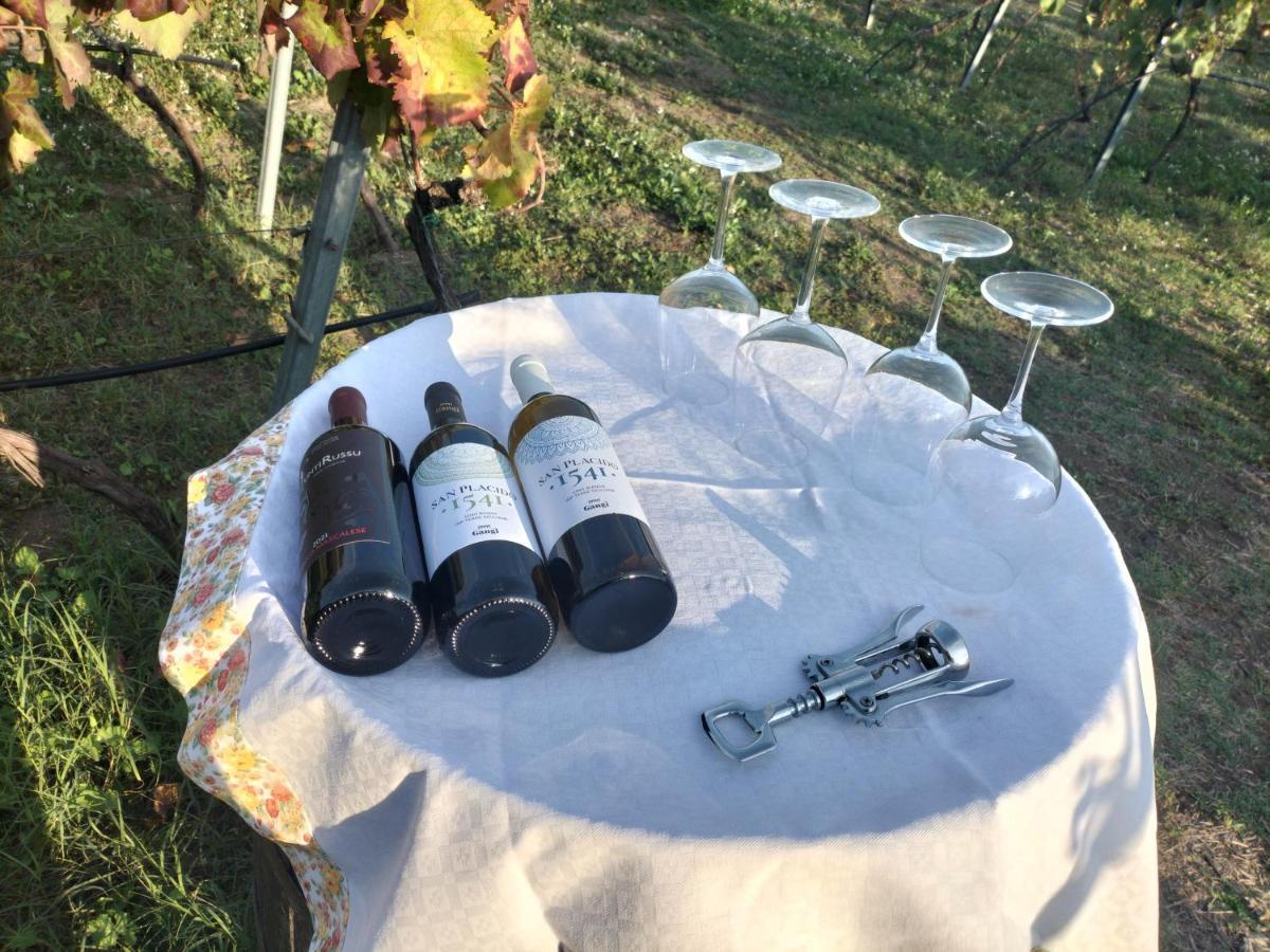 Etnasentieri Wine House On Etna Mount Βίλα Belpasso Εξωτερικό φωτογραφία