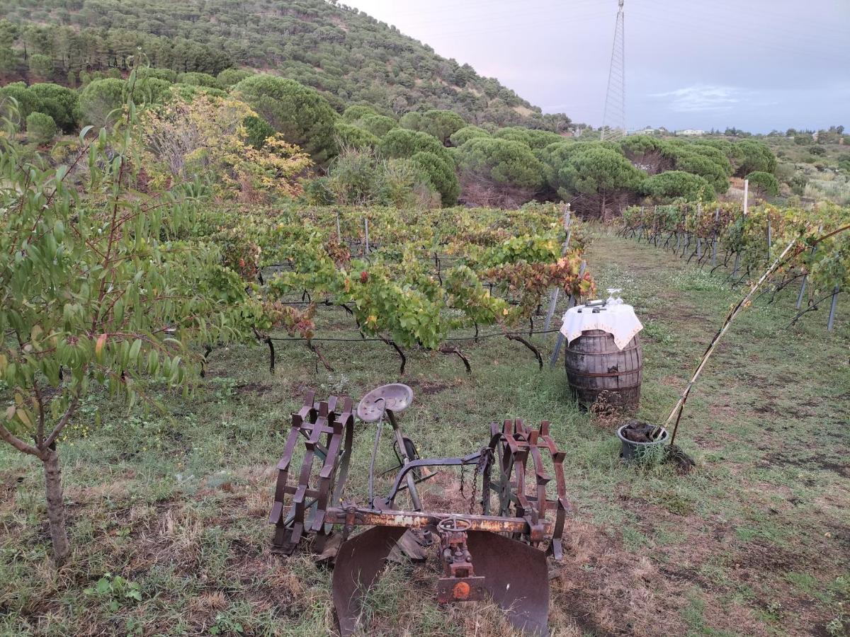 Etnasentieri Wine House On Etna Mount Βίλα Belpasso Εξωτερικό φωτογραφία